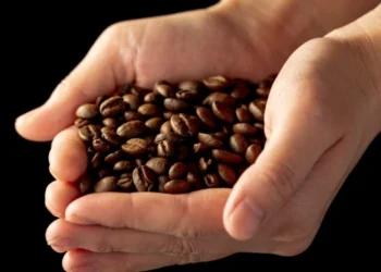 ‘Café do Brasil é insubstituível’, diz entidade nos EUA, ao pedir isenção tarifária para o solúvel