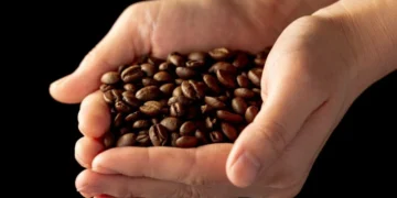‘Café do Brasil é insubstituível’, diz entidade nos EUA, ao pedir isenção tarifária para o solúvel