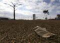Aquecimento além de 1,5°C ameaça saúde, agricultura e economia